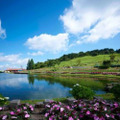 六甲山カンツリーハウス園内