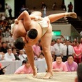 小学生力士の頂点を決める「わんぱく相撲全国大会」開催