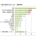 子育てにおいてもっとも負担が大きいもの