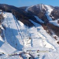 平昌オリンピック 参考画像（2017年2月13日）