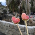 伊豆シャボテン動物公園　バレンタインのカピバラのごはん
