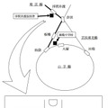 巣鴨中学校・巣鴨高等学校