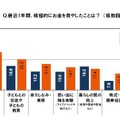 最近1年間、積極的にお金を費やしたこと