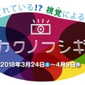 シカクノフシギ展