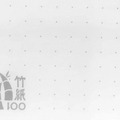 竹紙100のロゴ入りのドット方眼罫