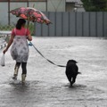 画像はイメージです　撮影日時や場所は本文と関係ありません(Photo by Buddhika Weerasinghe/Getty Images)