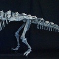 福井県立恐竜博物館所蔵の恐竜「ヨロイ竜」