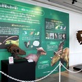 恐竜くんプロデュース 恐竜スカイミュージアム～鳥は恐竜だった！～