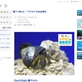 新江ノ島水族館「親子で楽しむ！ヤドカリの自由研究」