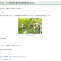 「小宮公園　秋・はなウィーク」　ガイドウォーク「秋の花と雑木林の自然を楽しもう！」
