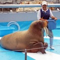 大分マリーンパレス水族館 うみたまご（大分県大分市）