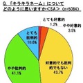 キラキラネームについてどのように思うか