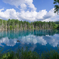 青い池（北海道）