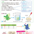 「中学入試 くらべてわかる できる子図鑑 理科 改訂版」（旺文社）