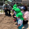 「屋上菜園×幼児教室」で野菜の収穫体験を”シェアリング”