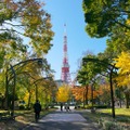 都立芝公園