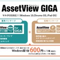 AssetView GIGA