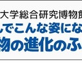 Kokaオンライン講演会「なんでこんな姿になったの？生物の進化のふしぎを語ろう」