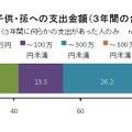 親から子ども・孫への支出金額（3年間の合計）