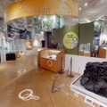 企画展「メタセコイア－生きている化石は語る」3Dビュー＋VR映像　イメージ
