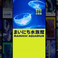 まいにち水族館