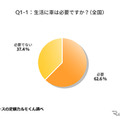 生活に車が必要ですか（全国）