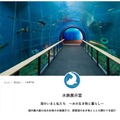 琵琶湖博物館水族展示トンネル水槽