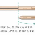 鉛筆の資源循環システム