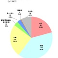 使用携帯電話の名義