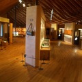 高知県立牧野植物園・常設展示室