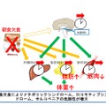 朝食を食べないと、体重が増えるだけではなく、筋肉量も低下することを解明