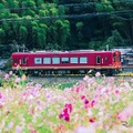 京都丹後鉄道