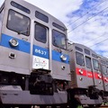 東急8500系といえば赤帯車が代名詞だが、8637編成（手前）は貸切広告電車（TOQ-BOX）に使われていた関係で、青帯となっている。
