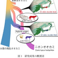 研究結果の概要図