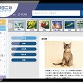受講者専用のオンライン百科事典「ブリタニカ・ジュニアサーチ for Ｚ会」