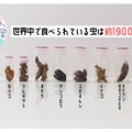 世界中で食べられている虫は約1900種類