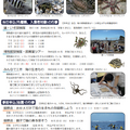 海の博物館「夏休みスペシャル 勝浦・磯の生きものミニ水族館」