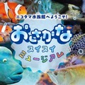 ニコタマ水族館へようこそ！おさかなスイスイミュージアム