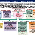 機関補助・個人補助のスキーム図