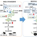 研究手法・研究成果