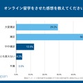 オンライン留学をさせた感想