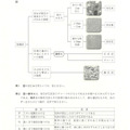 【高校受験2024】鳥取県公立高校入試＜理科＞問題・正答