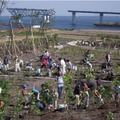 2009年（平成21年）の植樹のようす