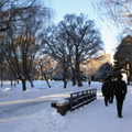 北海道大学 試験会場に向かう橋に雪だるま（記事の内容とは関係ありません）