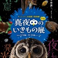 サンシャイン水族館 特別展「真夜中のいきもの展」