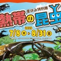 夏休み特別展「熱帯の昆虫2025」