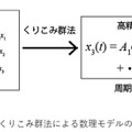 くりこみ群法による数理モデルの解析