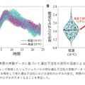 実際の実験データに基づいた遺伝子活性の波形の温度による違い