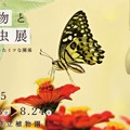 企画展「植物と昆虫展」