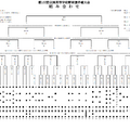 第107回全国高等学校野球選手権大会組み合わせ